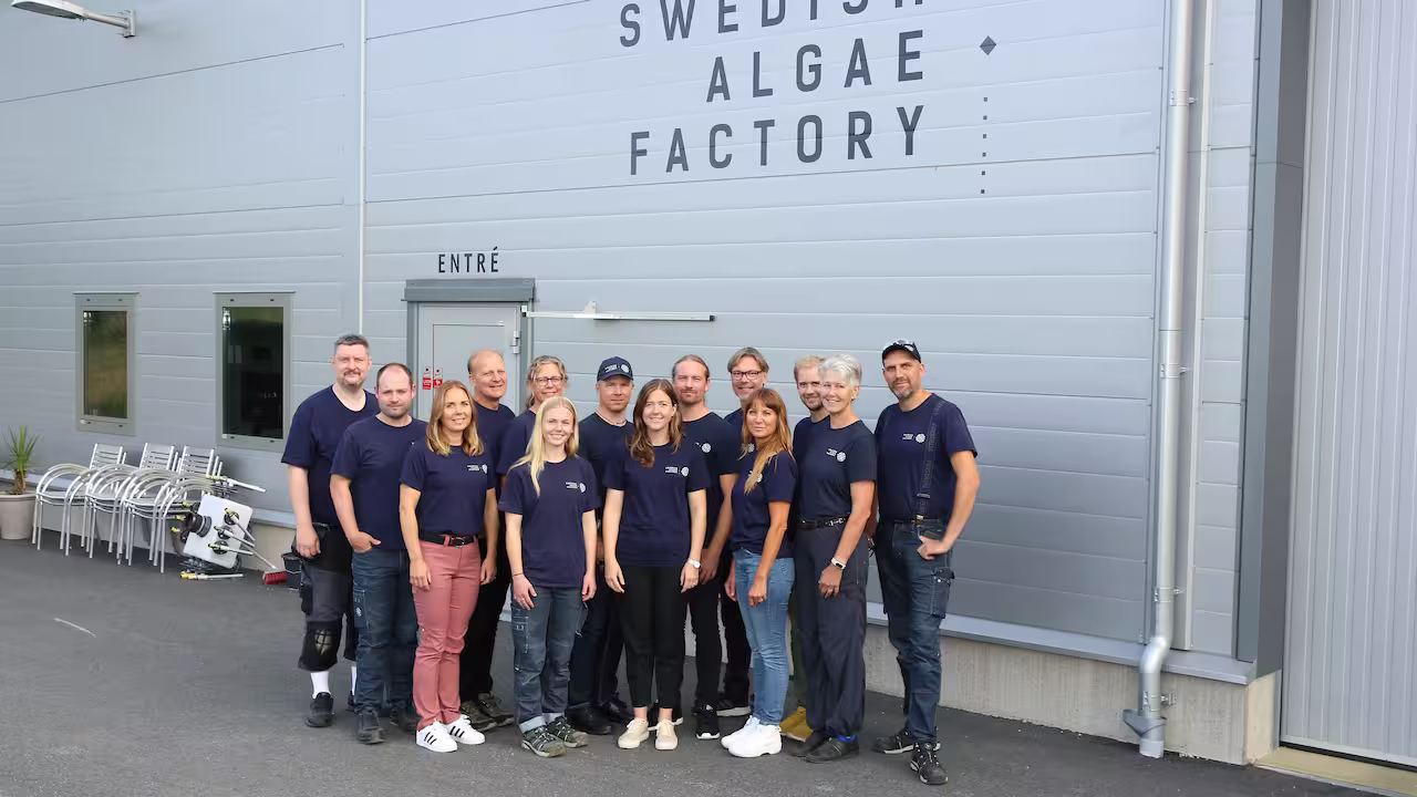 Training School photo