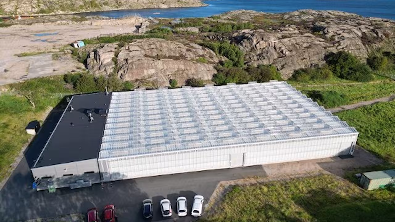 Training School photo