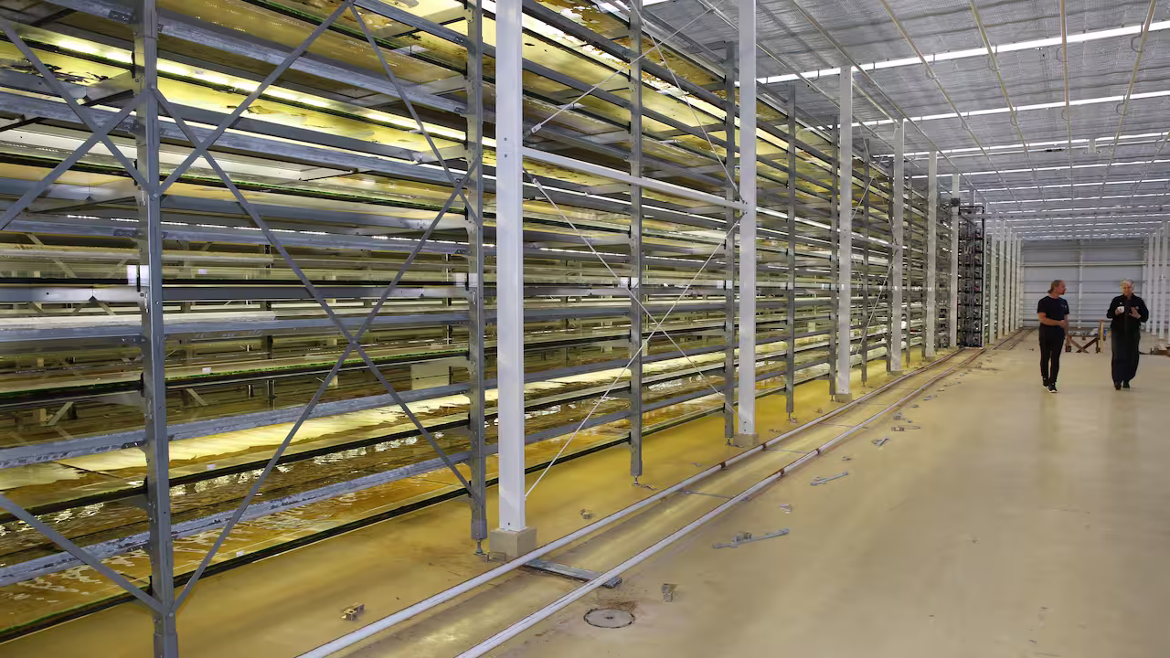 Training School photo