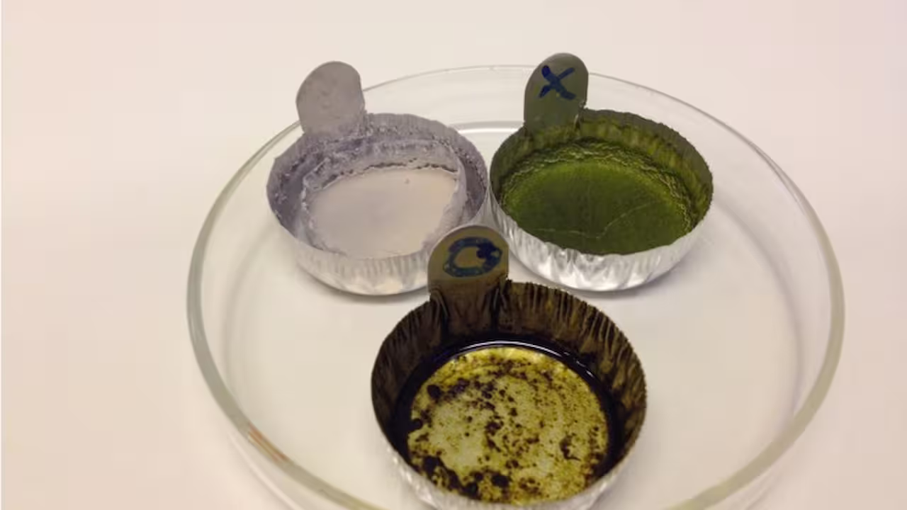 Training School photo