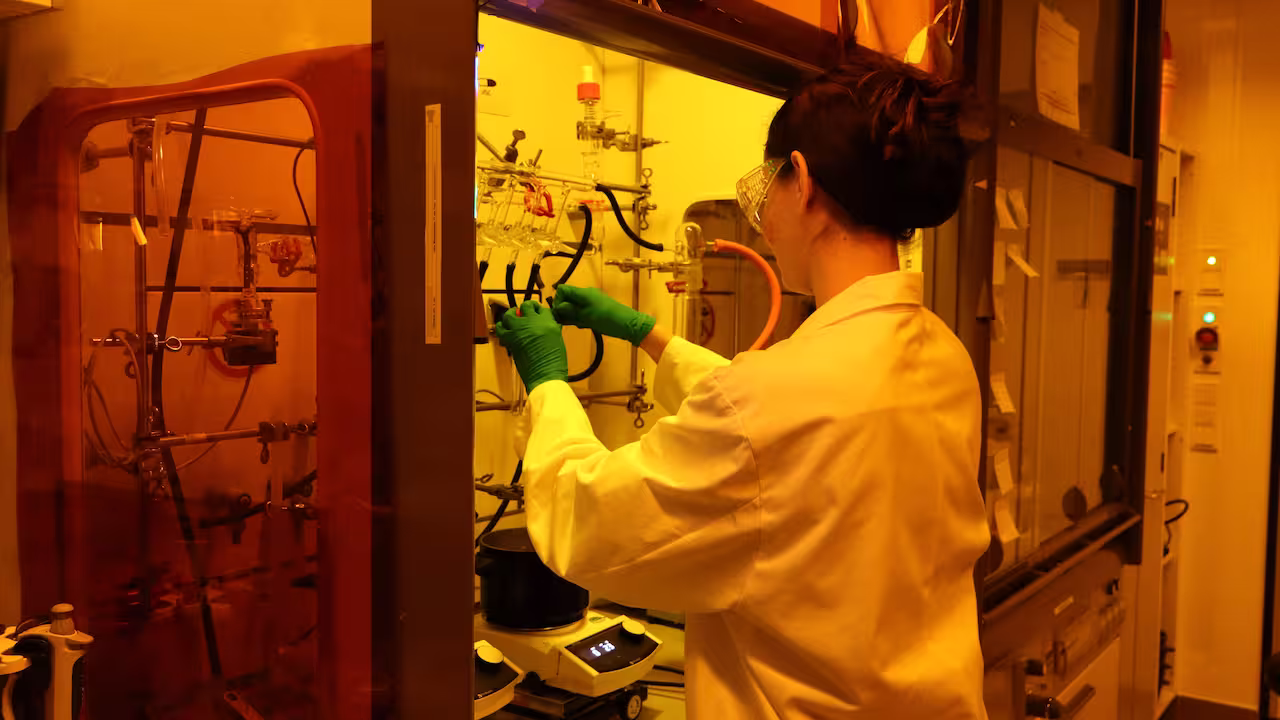 Training School photo