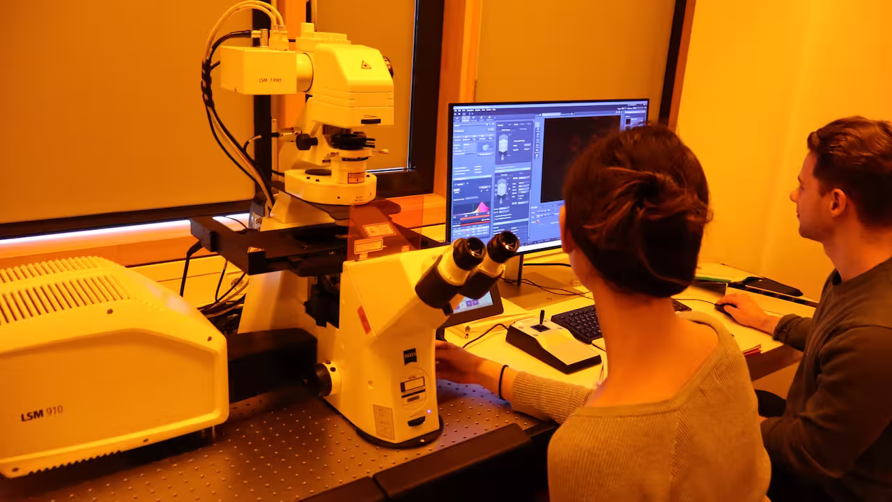 Training School photo