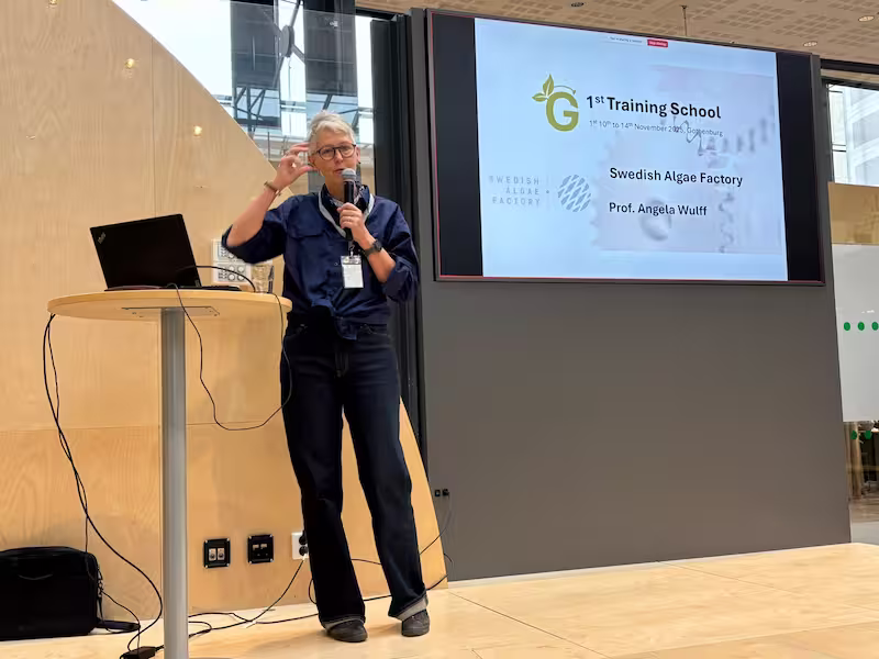 Training School photo